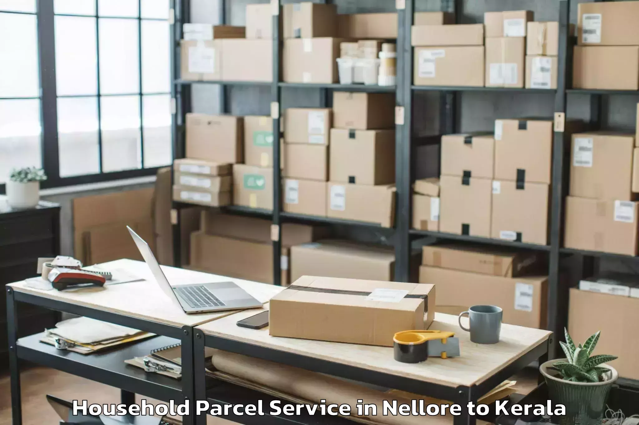 Easy Nellore to Karunagappally Household Parcel Booking